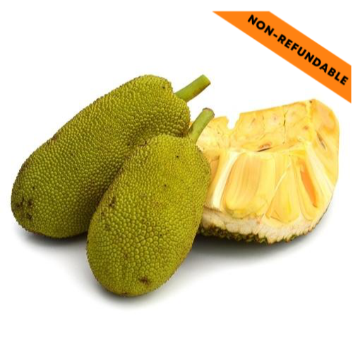Fresh Jackfruit / Katahal (1g)