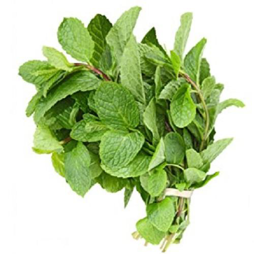 Dookan_Fresh_Mint_Bunch_1pc