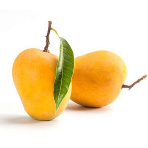 Kesar Mangoes Box (4-6pcs | 1-2 kgs)