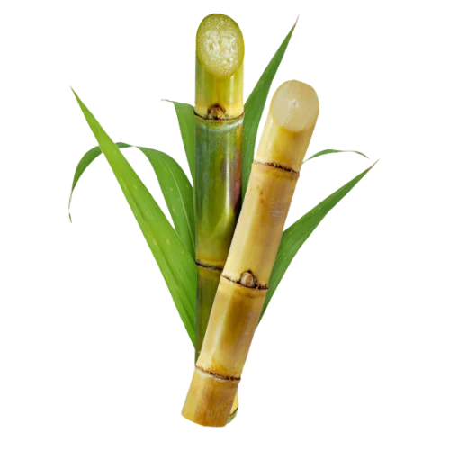 Cukrová třtina (Karimbu)(500g)