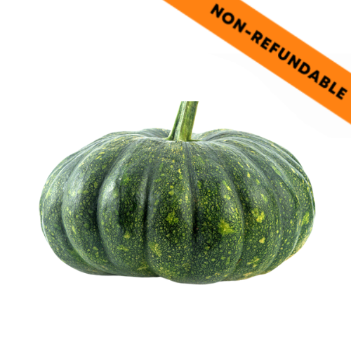 Pumkin / Squash (1g)
