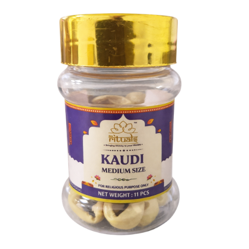 Rituals mušle Kauri (Koudi), střední (11ks)