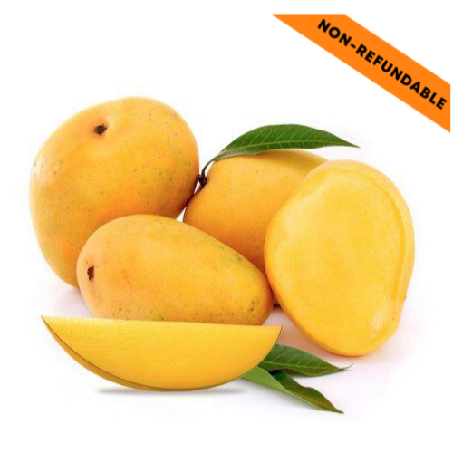 Banganpalli / Badami Mangoes (6Pcs | 1-2Kg)