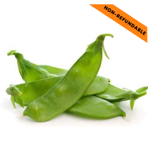 Indické ploché fazole (500g)