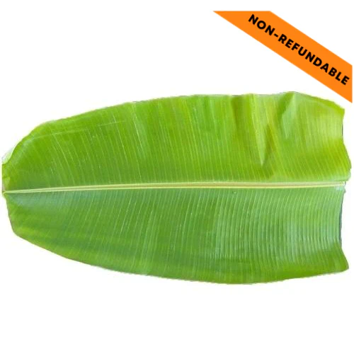 Fresh Banana Leaves (1pc)