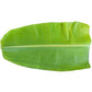 Dookan_Fresh_Banana_Leaves_2pc_Pre_order_only