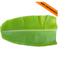 Fresh Banana Leaves (2pc)
