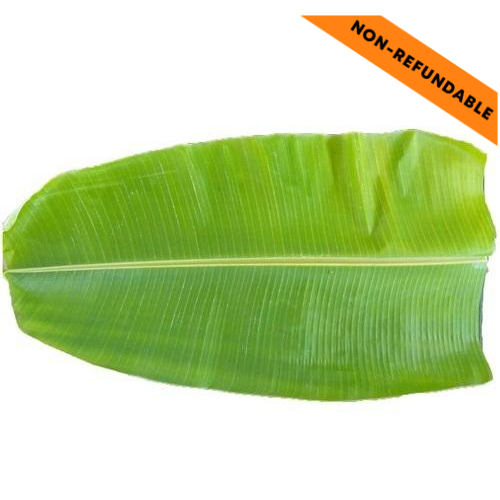 Fresh Banana Leaves  (2pc)