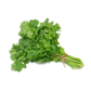 Dookan_Fresh_Coriander_Bunch_1pc