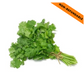 Fresh Coriander Bunch (1pc)