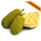 Fresh Jackfruit / Katahal (1g)