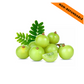 Indian Gooseberry Amla (250g)
