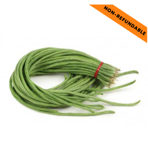 Dlouhé fazole (Vigna unguiculata) (500g)