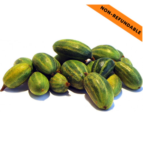 Špičatá tykev (Parwar) (500g)