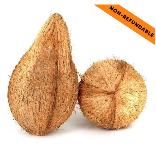 Chrámový kokos 1ks