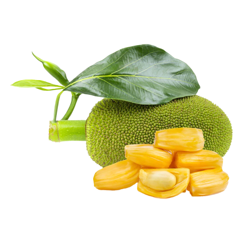 Čerstvý Jackfruit (10ks | 350g-400g)