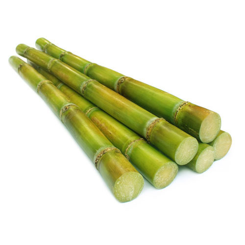 Sugarcane / Karimbu (1pc)