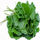 Fresh Vallarai / Brahmi Leaves Bunch (1pc)