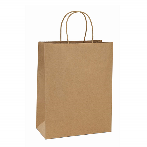 Paper Bag (1pc)