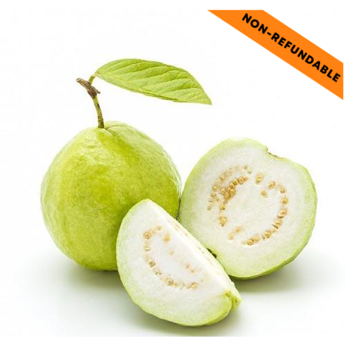 Guava / Amrood (1pc)