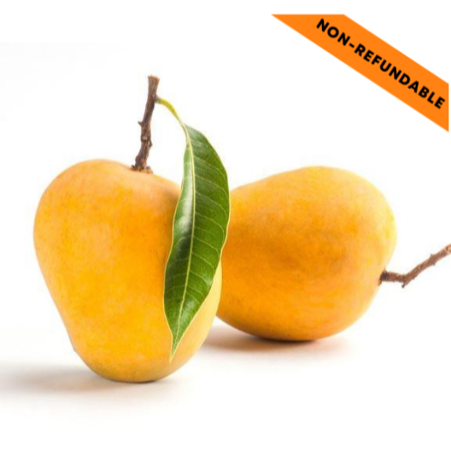 Kesar Mangoes Box (4-6pcs | 1-2 kgs)