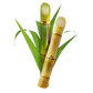 Sugarcane / Karimbu (500g)