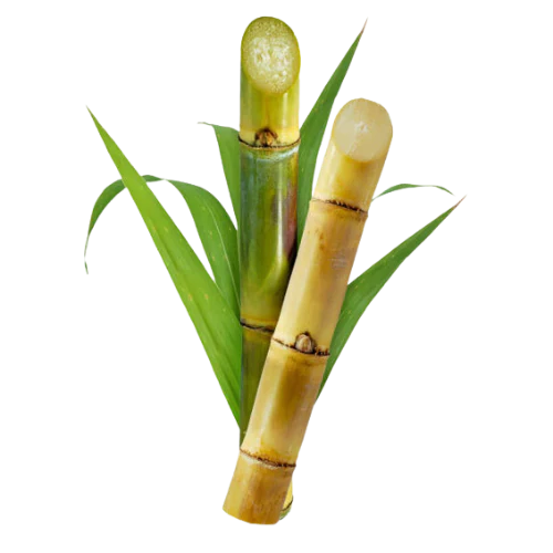 Sugarcane / Karimbu (500g)