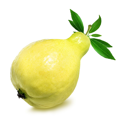 Guava / Amrood (1pc)